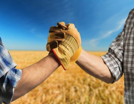 two-men-shaking-hands-in-field_488220-10749